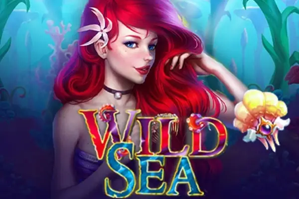 The Wild Seas thumbnail