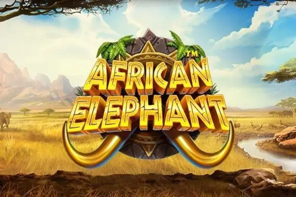 African Elephant thumbnail