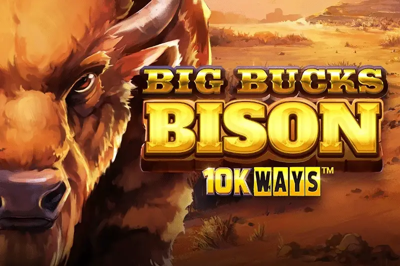 Big Bucks Bison 10K Ways thumbnail