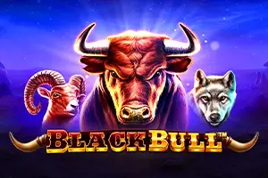 Black Bull thumbnail