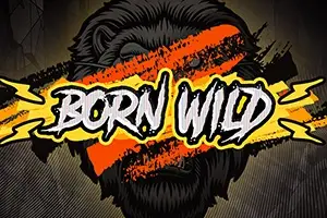 Born Wild thumbnail
