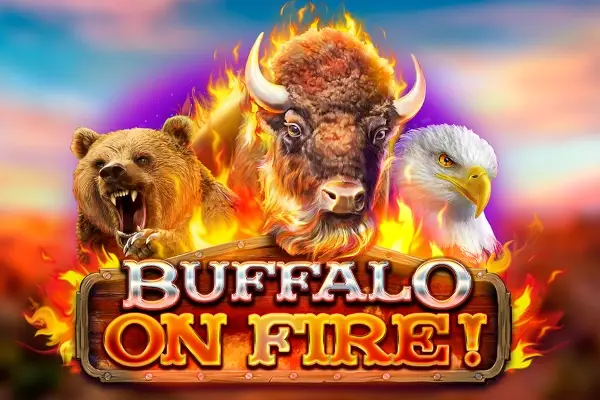 Buffalo on fire! thumbnail