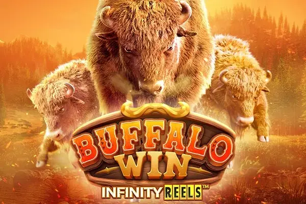 Buffalo Win thumbnail