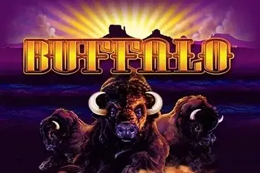 Buffalo Stack 'n' Sync thumbnail