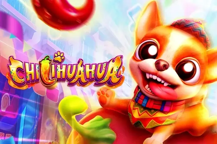 CHILIHUAHUA thumbnail