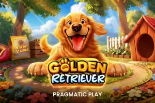 Golden Retriever thumbnail