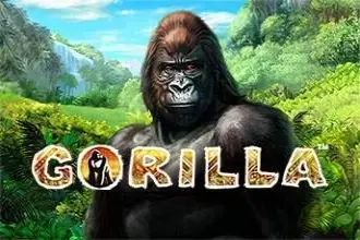 Gorilla thumbnail