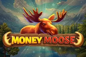 Money Moose thumbnail