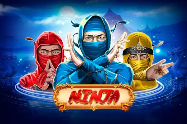 Ninja Piggies thumbnail