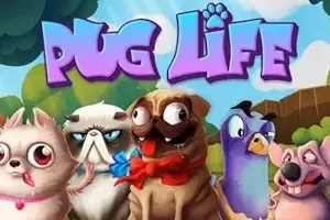 Pug Life thumbnail