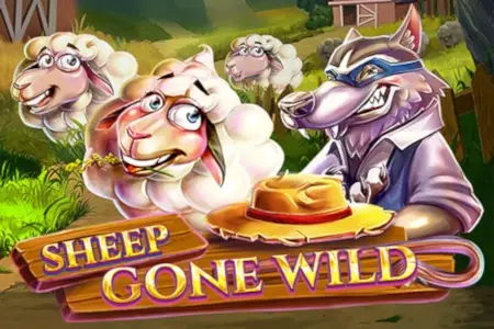 Sheep Gone Wild thumbnail