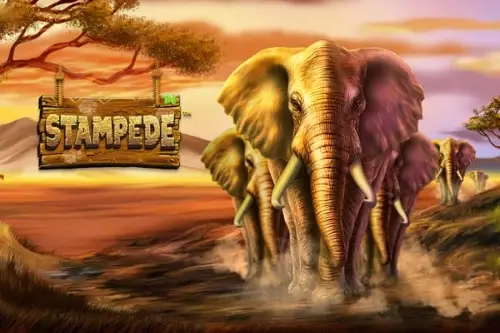 Grizzly Stampede thumbnail