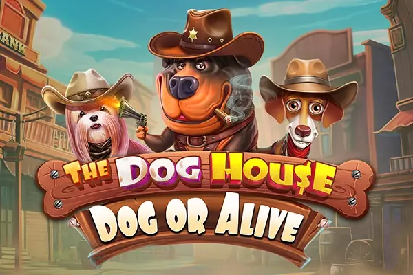 The Dog House - Dog or Alive thumbnail