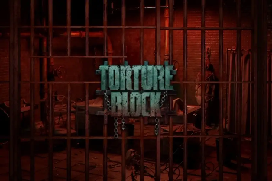 TORTURE BLOCK thumbnail