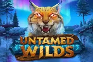 Untamed thumbnail