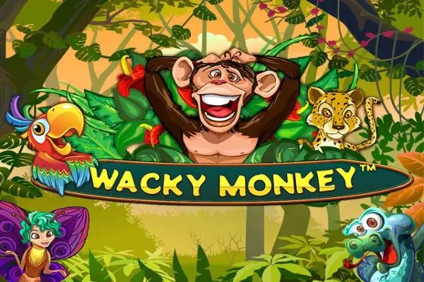 Wacky Monkey - Chase'N'Win thumbnail