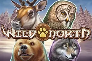 Wild North thumbnail
