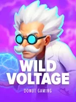 Wild Voltage thumbnail