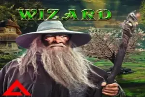 Wizard 1000 thumbnail
